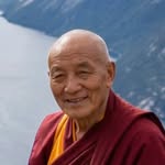 Ming Tao profile image